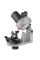 Станок заточний акумуляторний Tecomec MICROJolly 10.8 В (11829003)