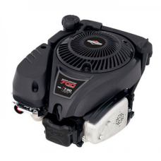 Двигун Briggs & Stratton 700 серії DOV (1008020149H8YY7001)
